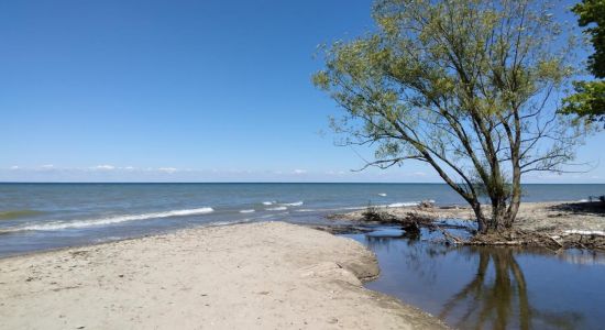 Shorewood Beach