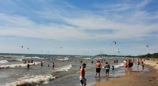 Sole at Woodlawn Beach