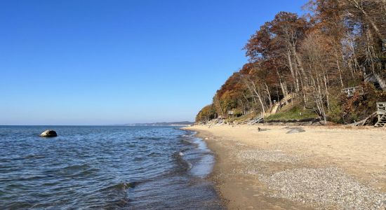 Douglas Beach