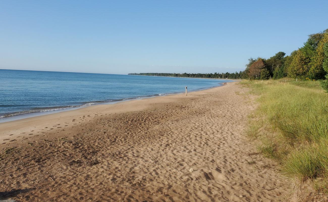 Foto af Lily Bay med lys sand overflade