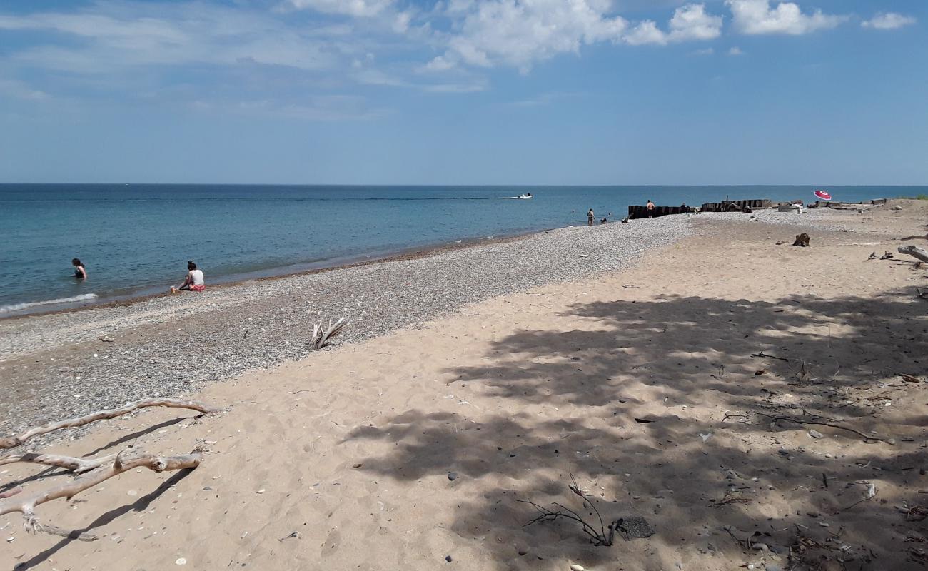 Foto af Isherwood beach med gråt sand og småsten overflade