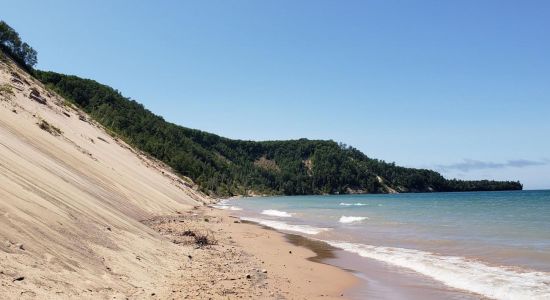 Log Slide Beach