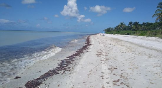 Sanibel beach