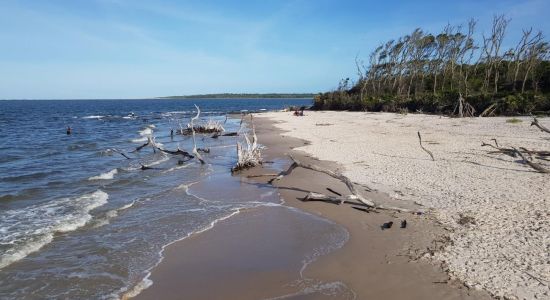 Black rock beach