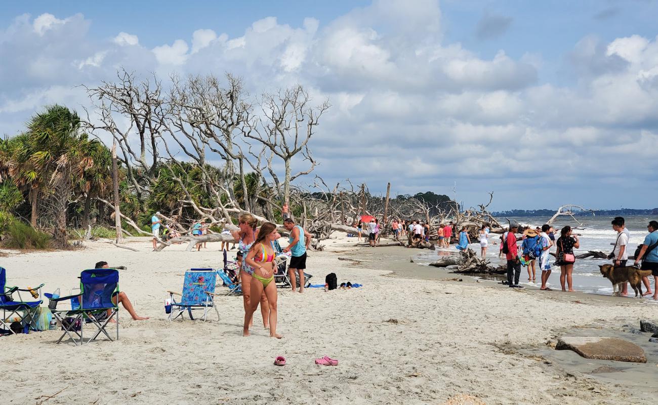 Foto af Driftwood beach med lys fint sand overflade