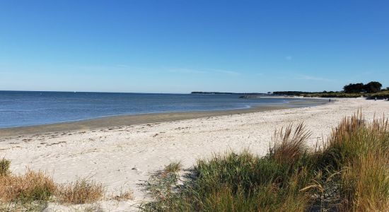 Cape charles beach