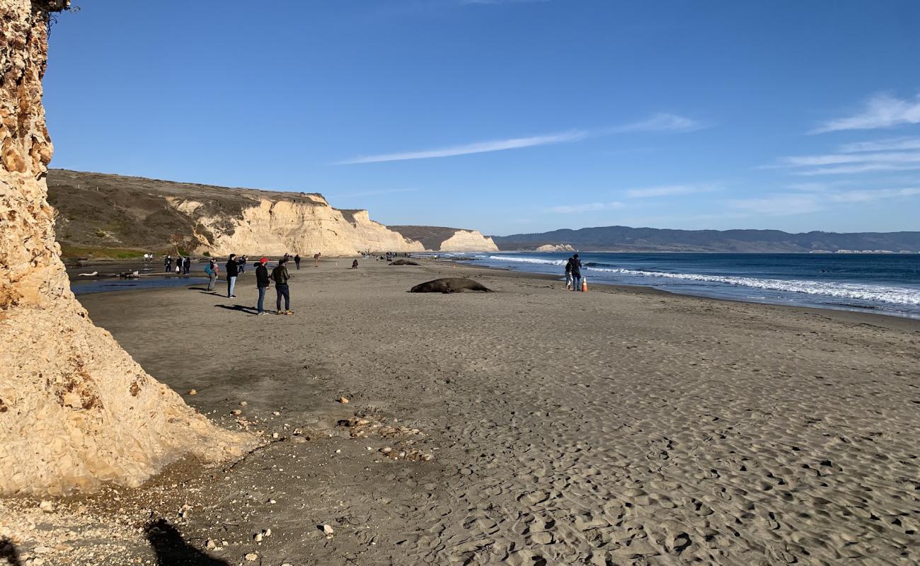 Foto af Drakes Beach med lys sand overflade