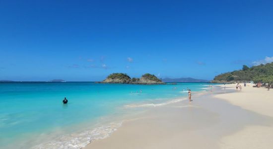 Trunk Bay Strand