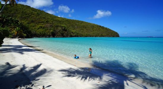 Maho Bay Strand