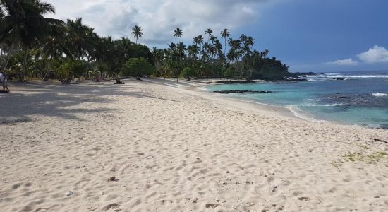 Vend tilbage til Paradis Strand