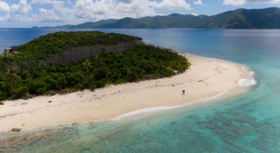 Sandy Cay beach