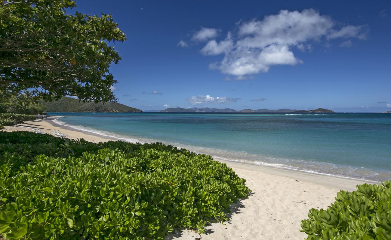 Foto af Blue Lagoon Strand med lys fint sand overflade