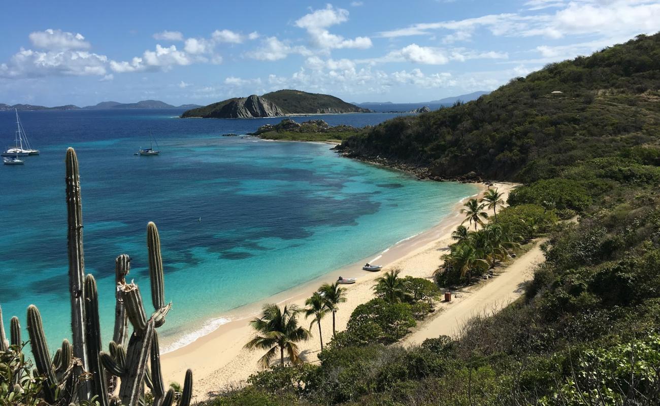 Foto af Peter Island Strand med lys fint sand overflade