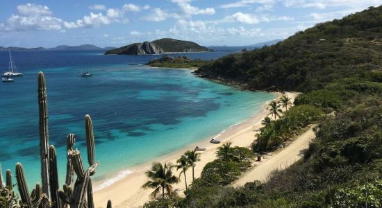 Peter Island Strand