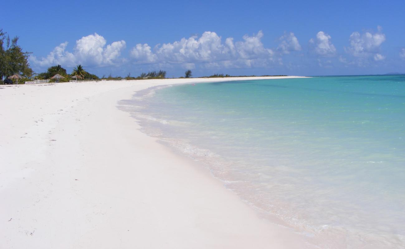 Foto af Pomato Point beach med lys fint sand overflade