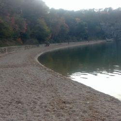 Foto af Pesja beach med turkis vand overflade