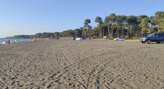 Ureki Nature beach